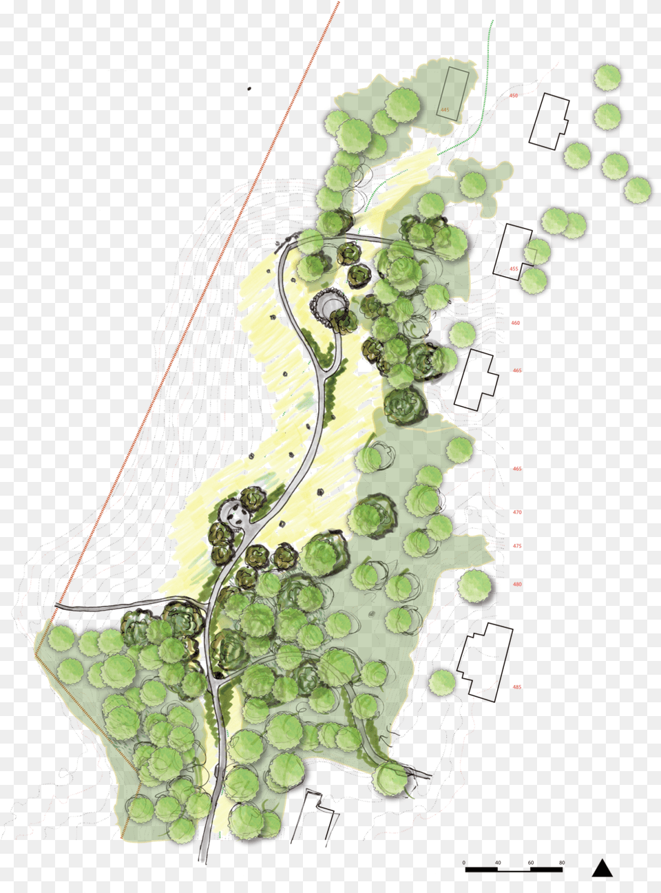 Copy Of Ak 3v Viewpoit Base, Chart, Plant, Plot, Food Png Image