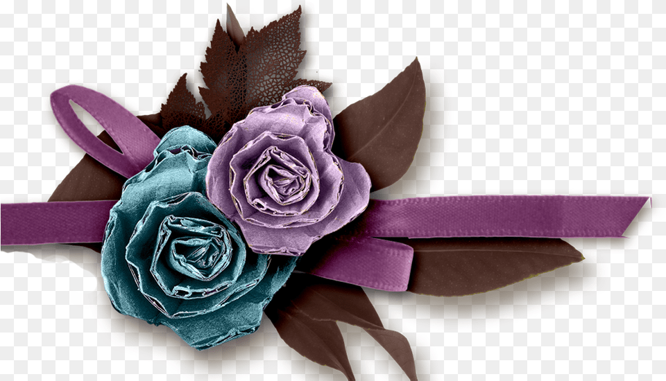 Copy Of Cluster, Flower, Plant, Rose, Accessories Png Image