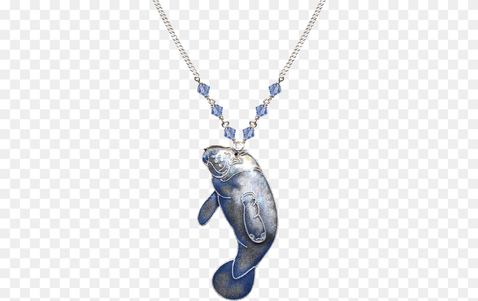 Copy Pendant, Accessories, Jewelry, Necklace, Gemstone Png Image