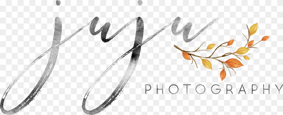 Copyright Juju Photography Calligraphy, Art, Collage, Graphics, Leaf Free Transparent Png
