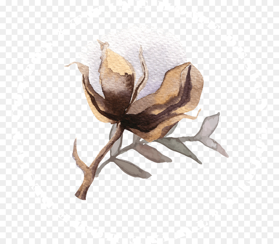 Copyright Magnolia, Animal, Deer, Mammal, Wildlife Png Image