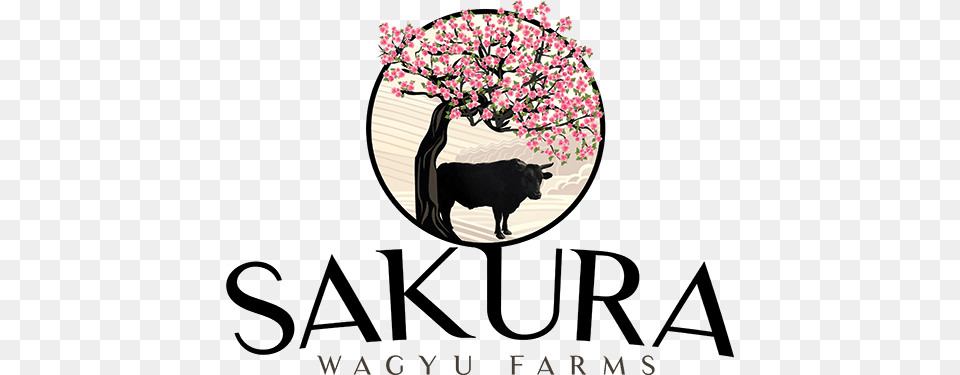 Copyright Sakura Wagyu Farms Bannari Amman Flour Mill Limited, Animal, Bull, Mammal, Flower Free Transparent Png