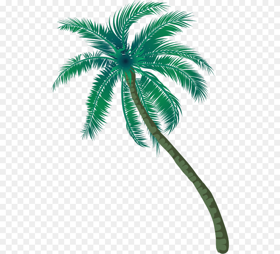 Coqueiro Arvore Planta Verde Madeira Coco Praia Coconut Tree Inages, Palm Tree, Plant Free Transparent Png