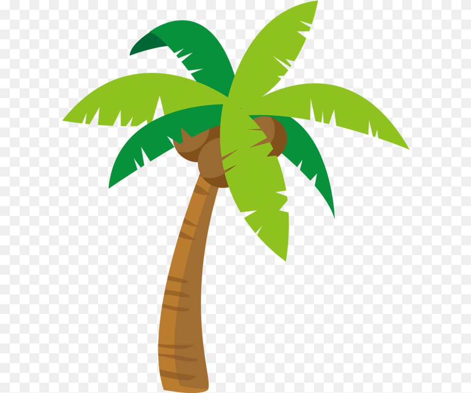 Coqueiro Moana Image Cartoon Palm Tree, Palm Tree, Plant, Baby, Person Png