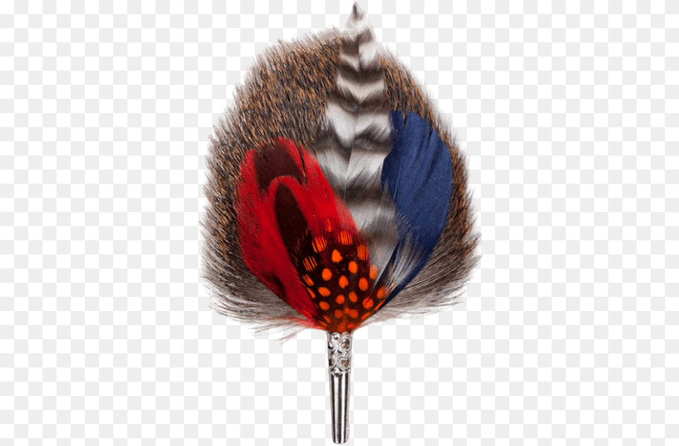 Coquelicot, Accessories, Animal, Bird Png Image