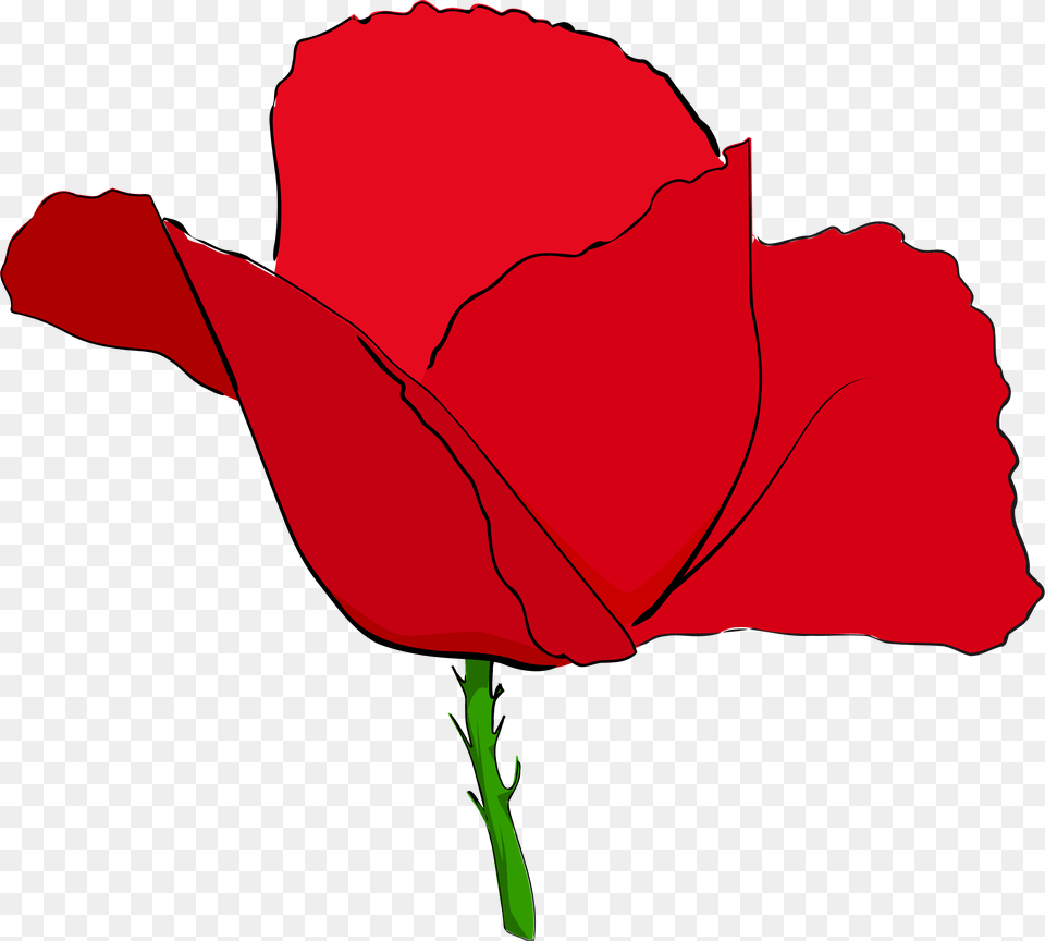 Coquelicot Rouge, Flower, Plant, Rose, Petal Free Png