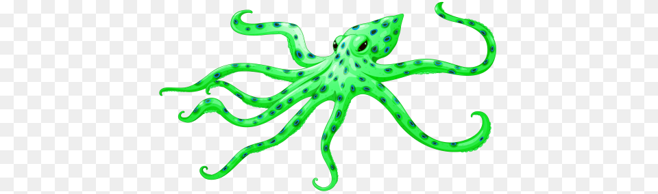 Coqui, Animal, Sea Life, Invertebrate, Octopus Free Png