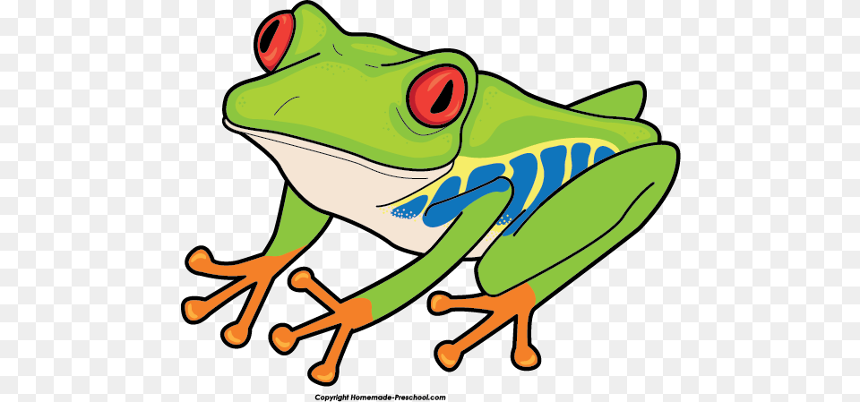Coqui Frog Cartoon Clip Art, Amphibian, Animal, Wildlife, Tree Frog Png Image