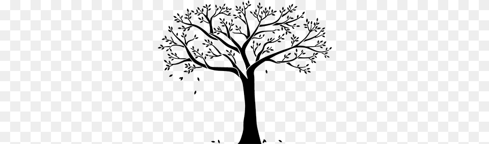 Cor Do Fundo Wall Tree Art Stickers, Gray Free Png Download