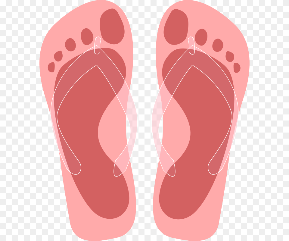 Coral, Clothing, Flip-flop, Footwear Free Png Download