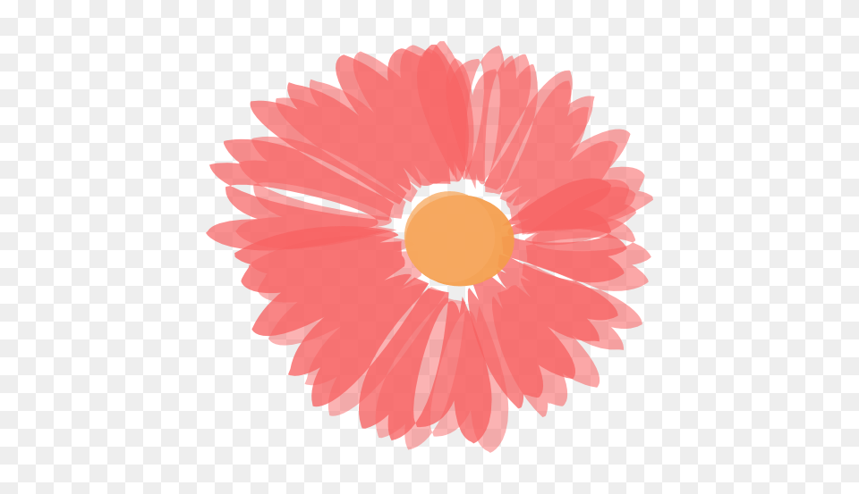 Coral And Orange Flower Clipart For Web, Daisy, Plant, Petal, Dahlia Png