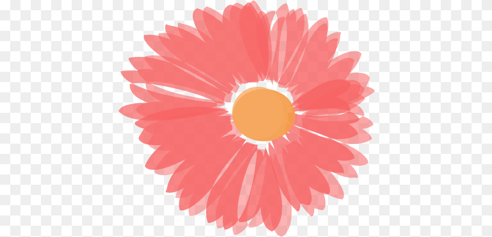 Coral And Orange Flower Svg Clip Arts Orange And Pink Flower Clip Art, Daisy, Petal, Plant, Anemone Free Png Download