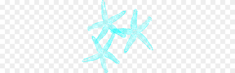 Coral And Turquoise Starfish Clip Art, Animal, Sea Life, Person, Invertebrate Free Png