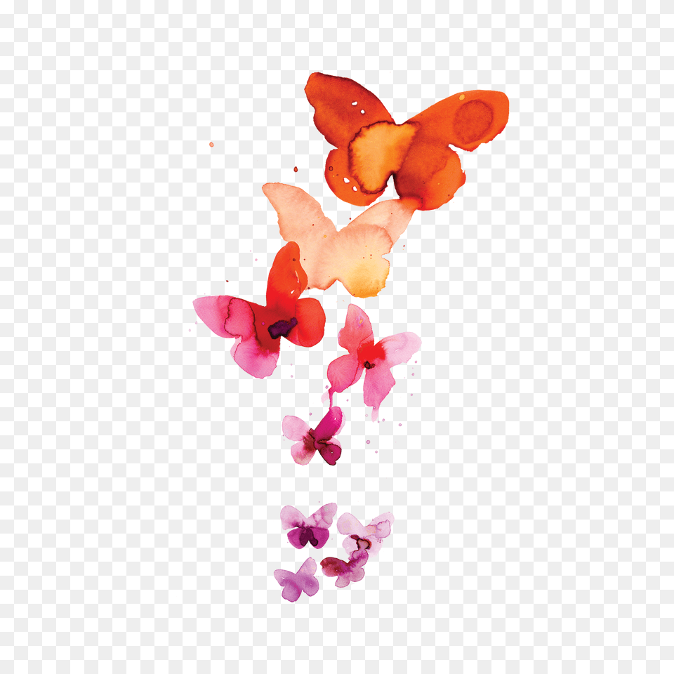 Coral Butterflies Small Watercolor Butterfly Tattoo, Flower, Petal, Plant, Art Png Image