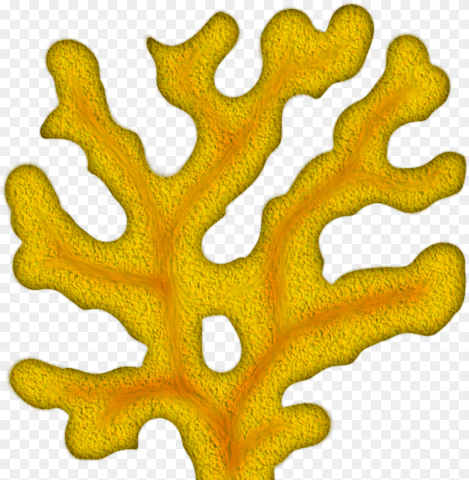 Coral Clipart Coral Clipart, Plant, Leaf, Animal, Invertebrate Free Png