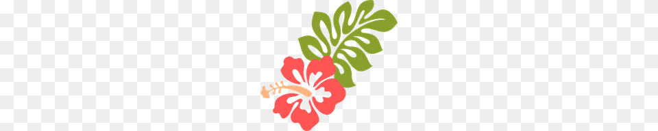 Coral Clipart Coral Icons, Flower, Hibiscus, Plant, Baby Png