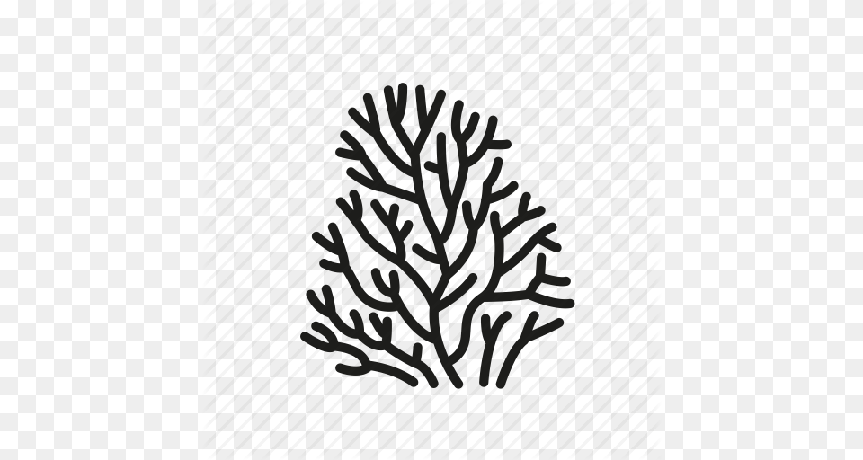 Coral Coral Reef Ocean Ocean Life Sea Underwater Icon, Nature, Outdoors, Snow, Ice Png