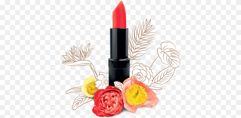 Coral Dawn Lipstick Lipstick, Cosmetics, Flower, Plant Png