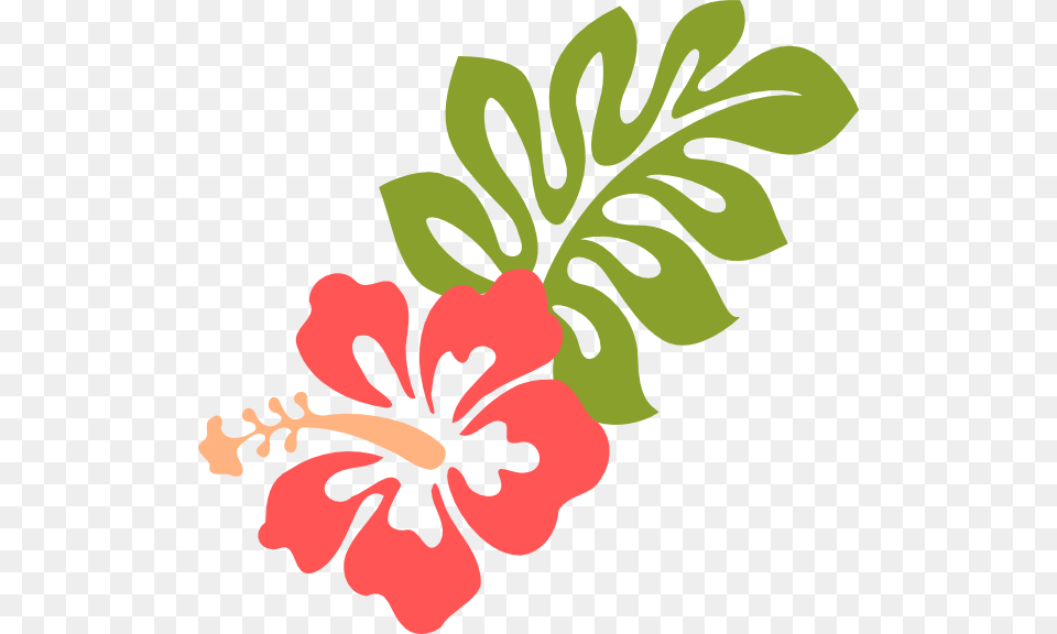 Coral Hibiscus Clip Art, Flower, Plant, Herbal, Herbs Png
