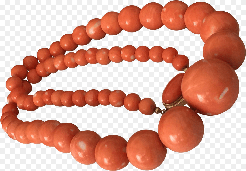 Coral Momo, Accessories, Bead, Bead Necklace, Jewelry Free Transparent Png