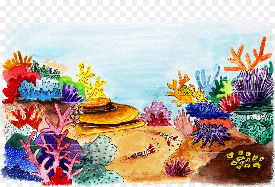 Coral Reef Free Transparent Png