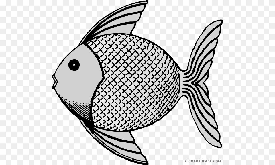 Coral Reef Clipart Black And White Fish Clip Art, Animal, Sea Life, Bird Png Image