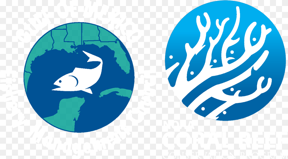 Coral Reef Conservation Act, Logo, Baby, Person, Animal Png
