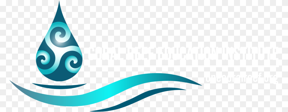 Coral Reef Education Institute Transparent, Art, Graphics, Floral Design, Pattern Free Png