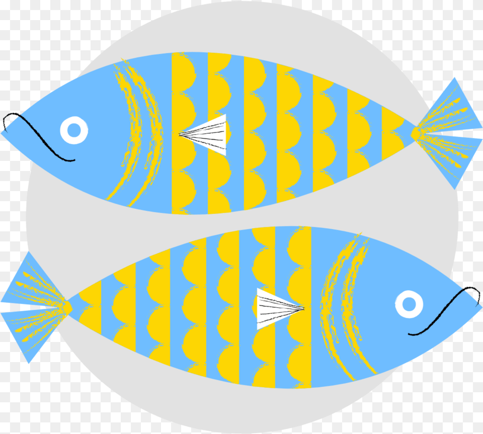 Coral Reef Fish, Animal, Sea Life, Surgeonfish, Angelfish Free Png