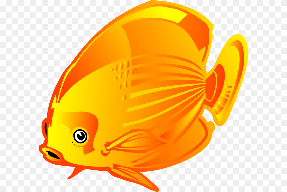 Coral Reef Fish, Animal, Sea Life, Clothing, Hardhat Free Png