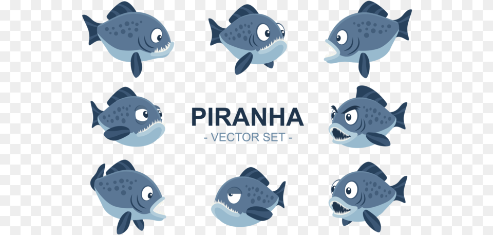 Coral Reef Fish, Animal, Sea Life, Kangaroo, Mammal Png