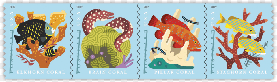 Coral Reef Postcard Stamps, Postage Stamp, Animal, Fish, Sea Life Png