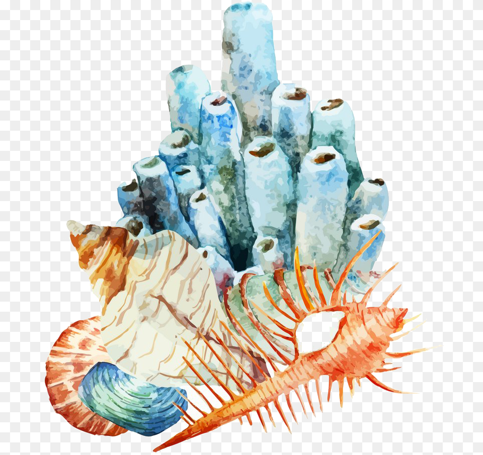 Coral Reef Watercolor Painting Illustration Watercolor Coral Reef, Animal, Sponge Animal, Invertebrate, Sea Life Png Image