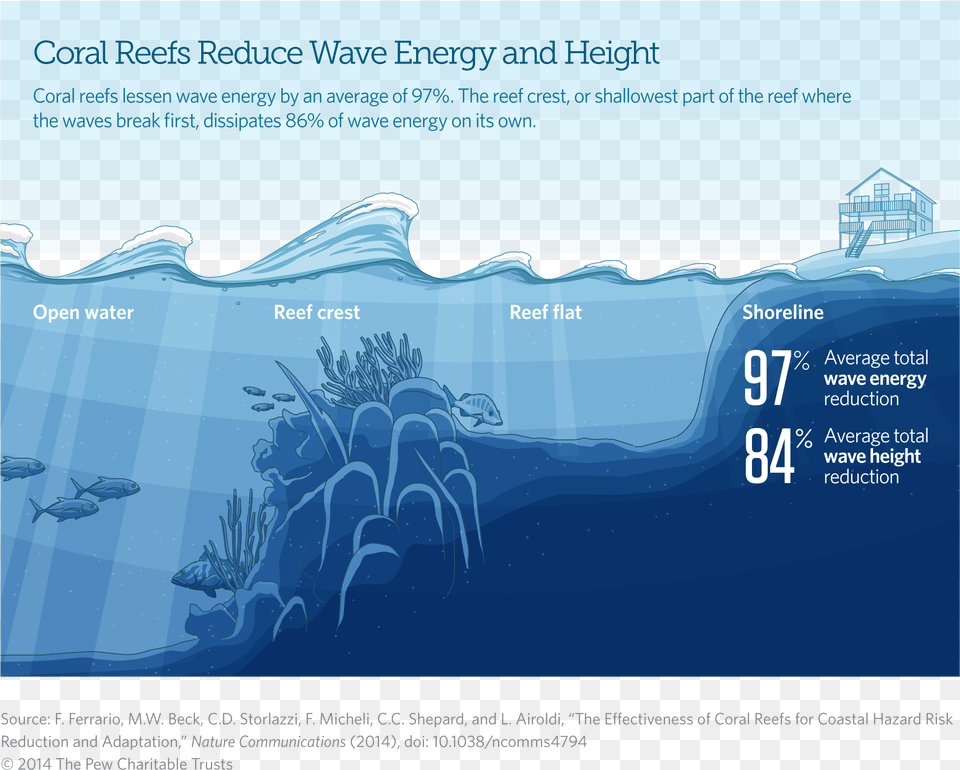 Coral Reefs Reduce Wave Energy And Height Coral Reef Sea Level, Ice, Nature, Outdoors, Water Free Png Download
