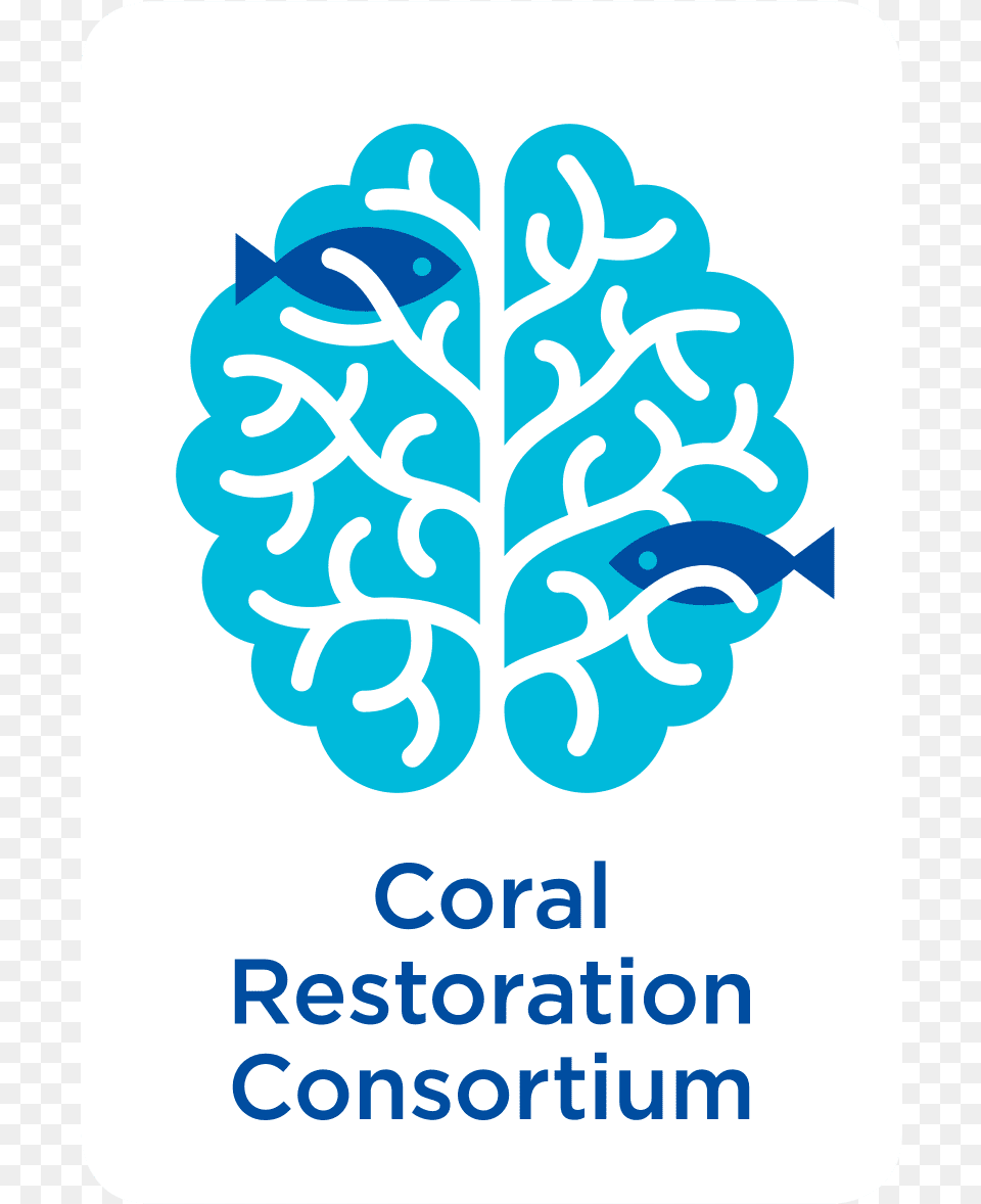 Coral Restoration Consortium, Nature, Outdoors, Neighborhood, Snow Png Image
