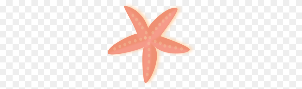 Coral Starfish Clip Art, Animal, Sea Life, Invertebrate Free Png Download