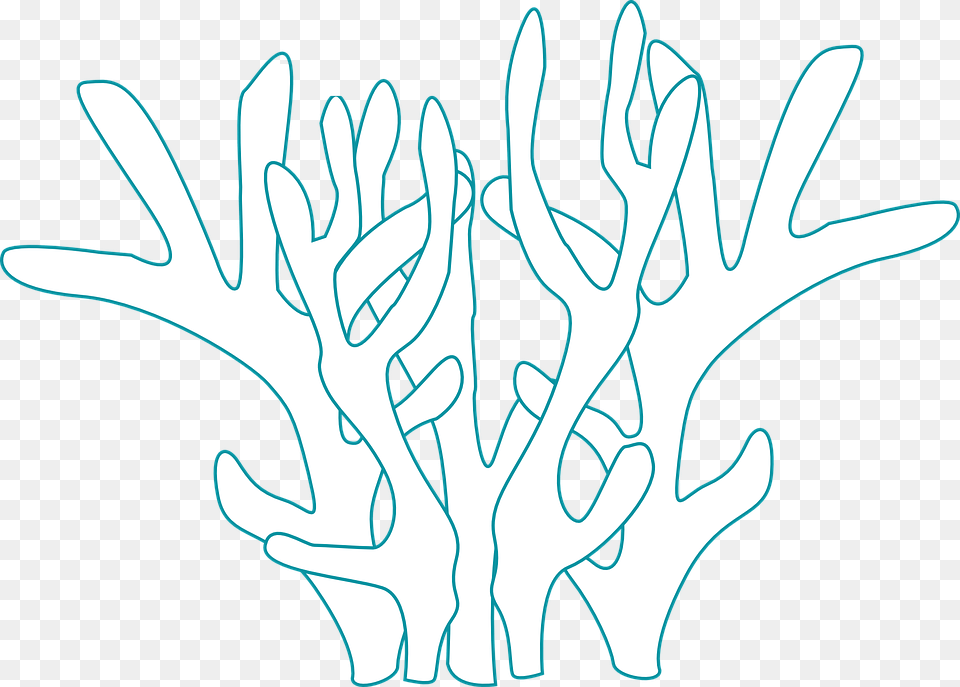 Coral Underwater Plant Fauna Marine Calligraphy, Art, Outdoors, Person, Antler Png