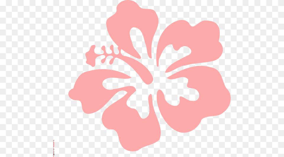 Coral Vector Printable Hawaiian Flowers Background, Flower, Hibiscus, Plant Free Png Download