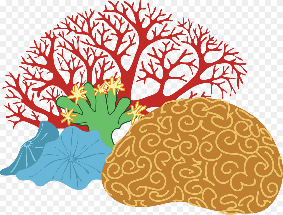 Corals Clipart, Animal, Sea Life, Sea, Reef Free Png