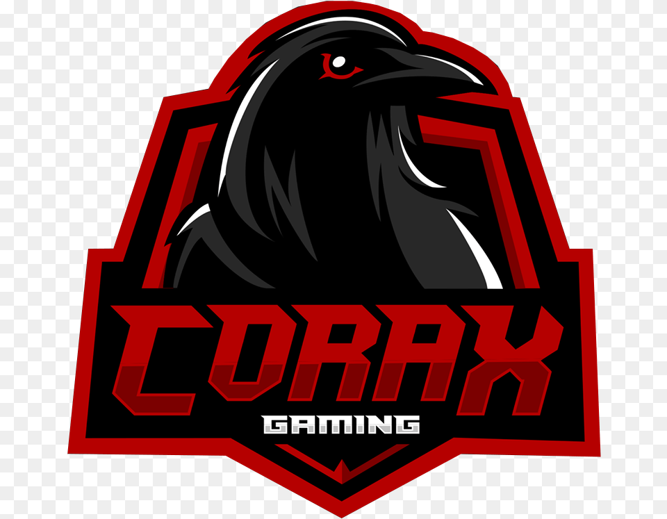 Corax Gaming, Animal, Dynamite, Weapon, Bird Free Transparent Png