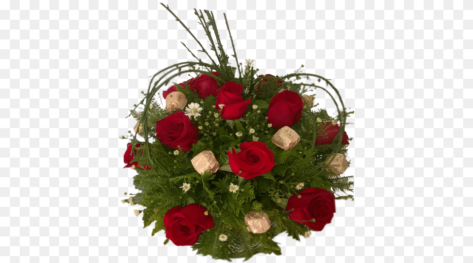 Corazn De Rosas Y Bombones Precio Garden Roses, Flower, Flower Arrangement, Flower Bouquet, Plant Free Transparent Png