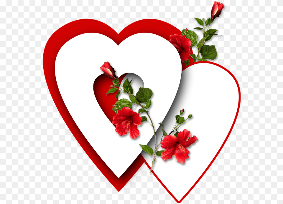 Corazn Rojo Heart, Flower, Plant, Rose, Leaf Free Png Download
