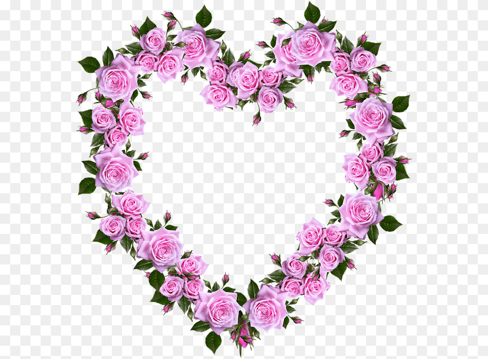 Corazon De Rosas Pink Flower Border No Background, Plant, Rose, Flower Arrangement, Pattern Png Image