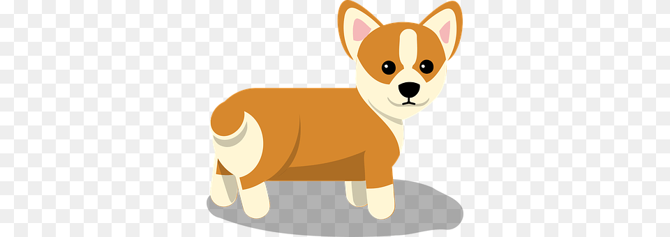 Corgi Animal, Canine, Dog, Mammal Png