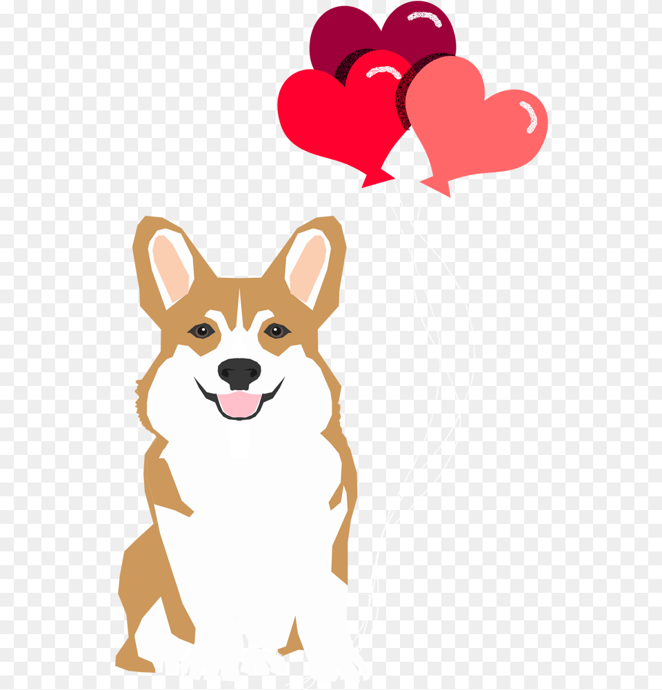 Corgi Holding Balloons, Balloon, Baby, Person, Animal Free Transparent Png