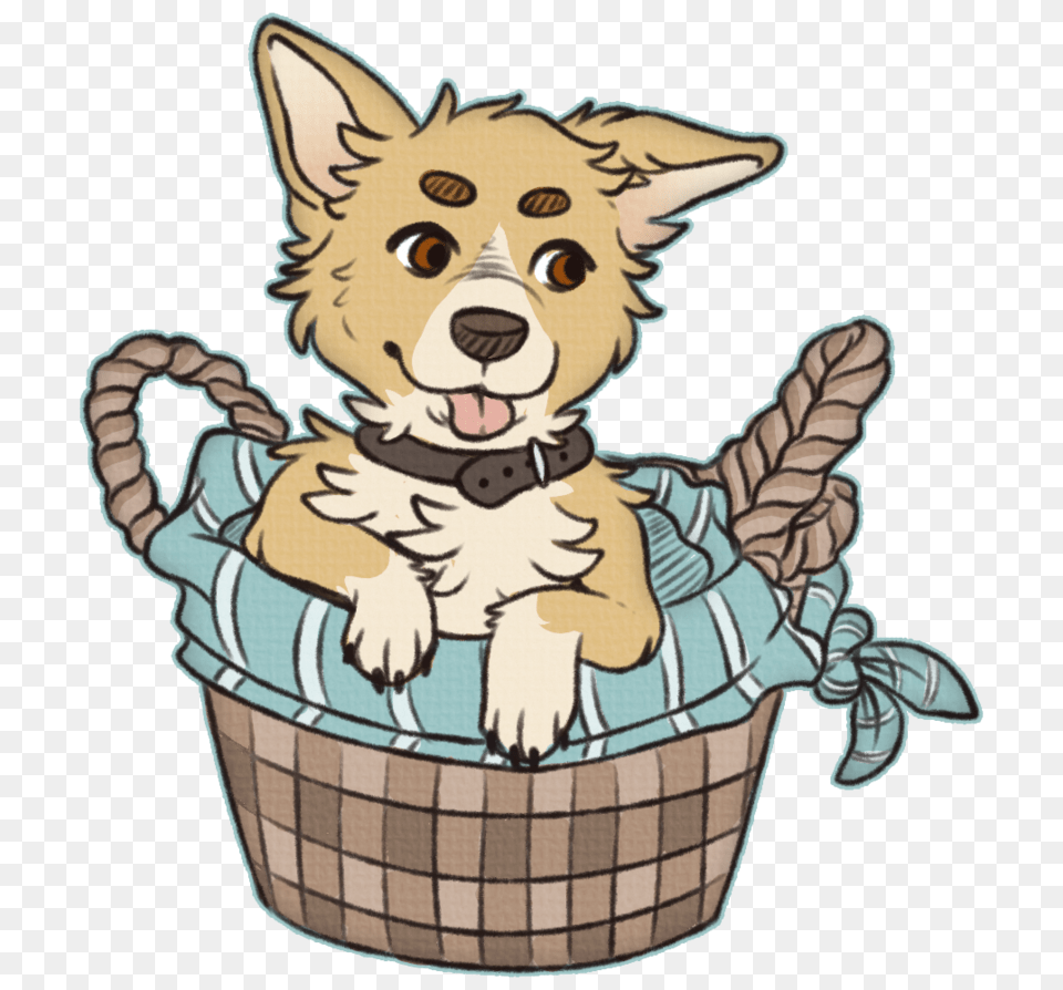 Corgi In A Basket, Animal, Pet, Canine, Mammal Free Png