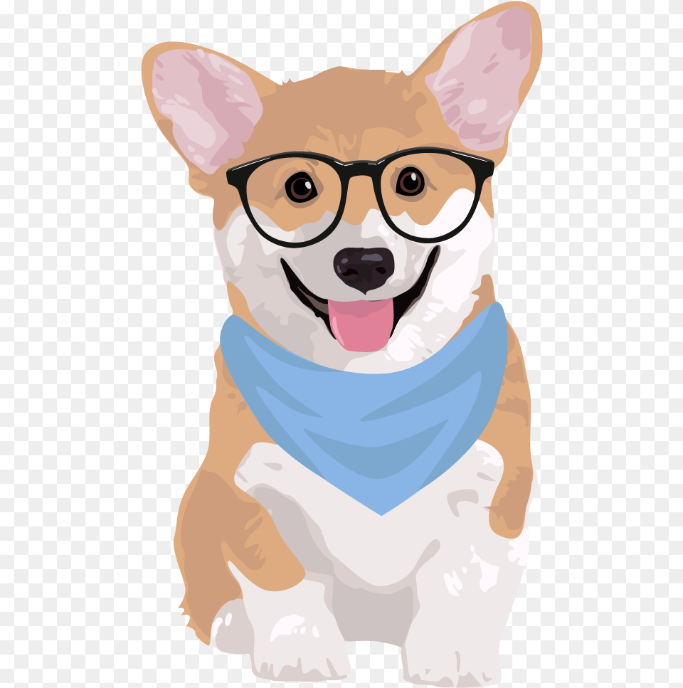 Corgi Iphone Wallpapers, Baby, Person, Accessories, Glasses Free Png