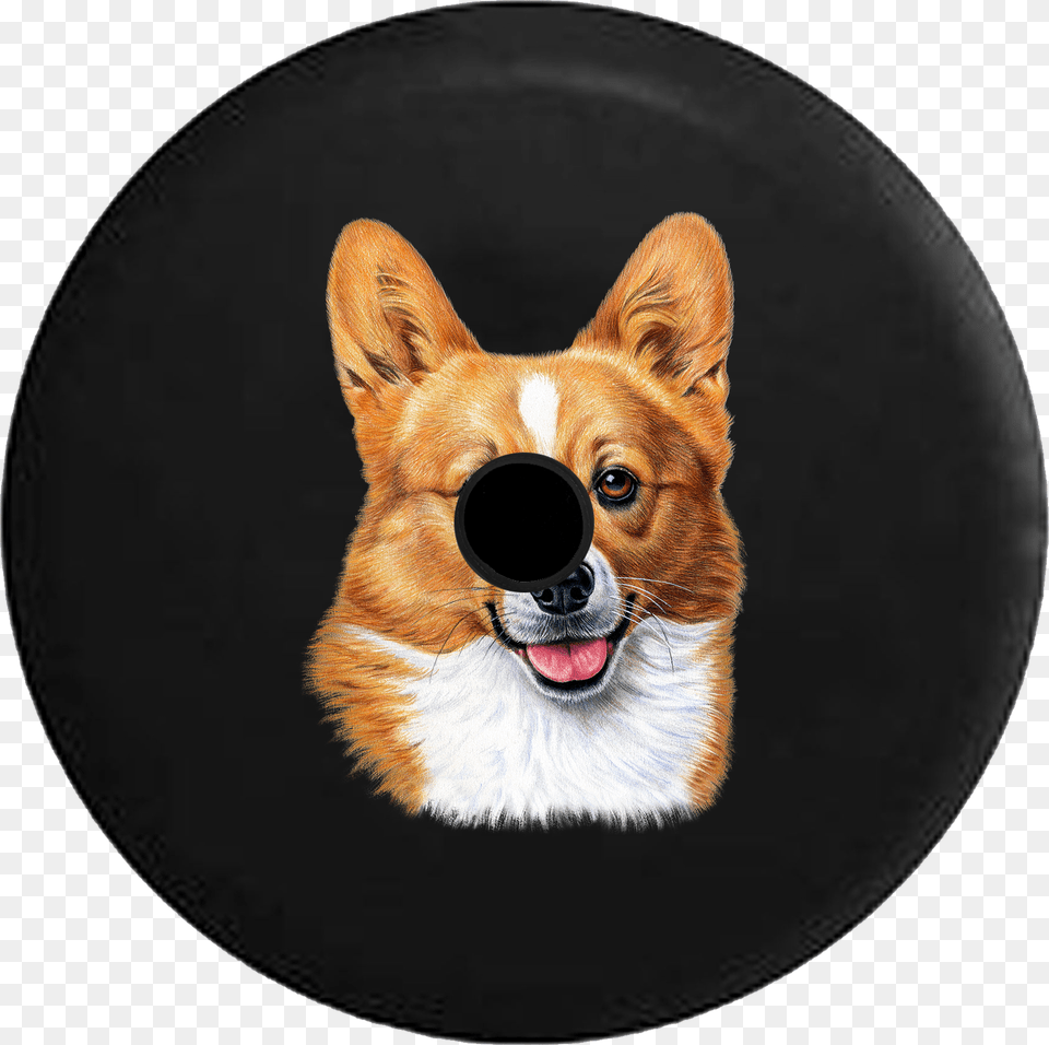 Corgi Wheel Cover, Photography, Animal, Canine, Dog Png Image