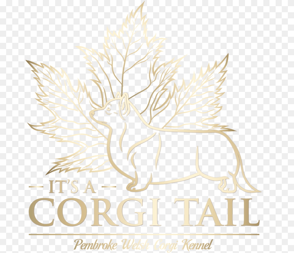 Corgitails Corgi Transparent, Book, Publication, Advertisement Free Png