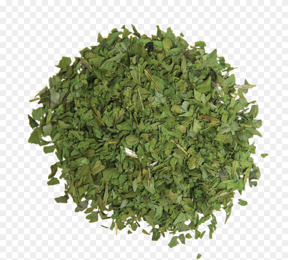 Coriander Cilantro Grass, Herbal, Herbs, Plant, Parsley Free Transparent Png